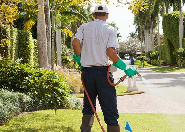 About North Creek NY Pest Control
